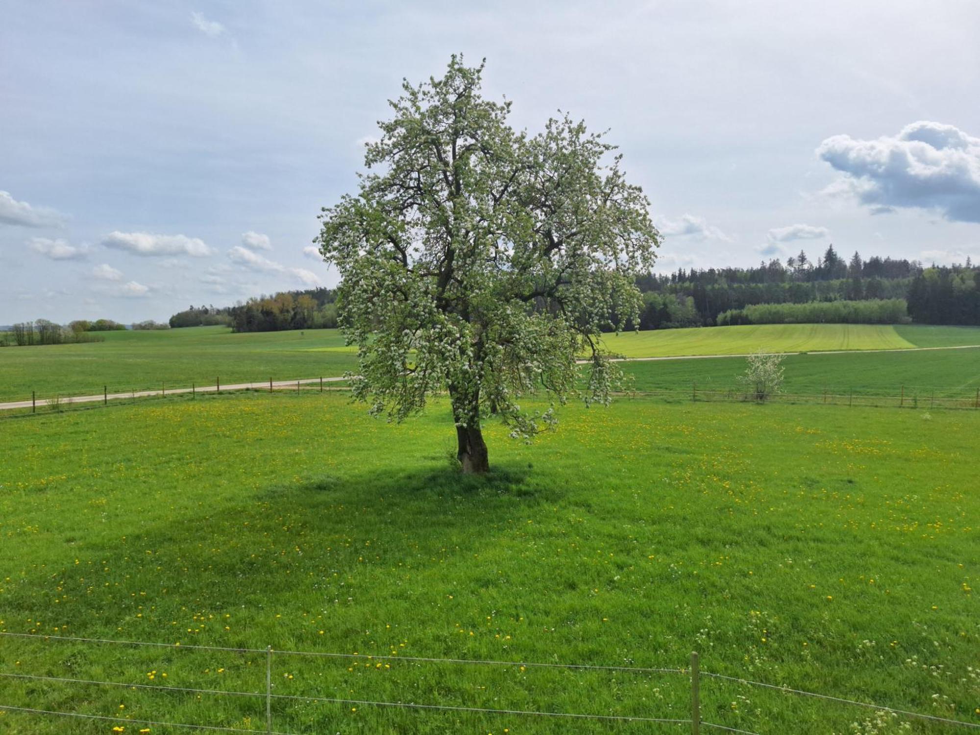 Gaestehaus Plath Wettringen  Exteriér fotografie